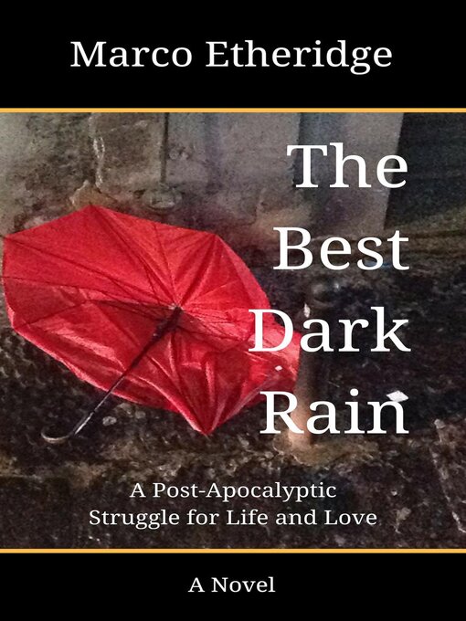 Cover image for The Best Dark Rain